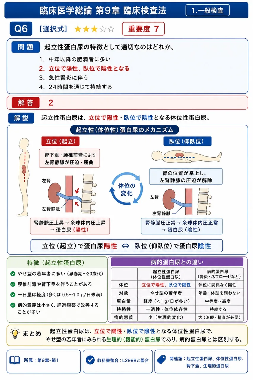 起立性蛋白尿の特徴として適切なのはどれか。 解説図
