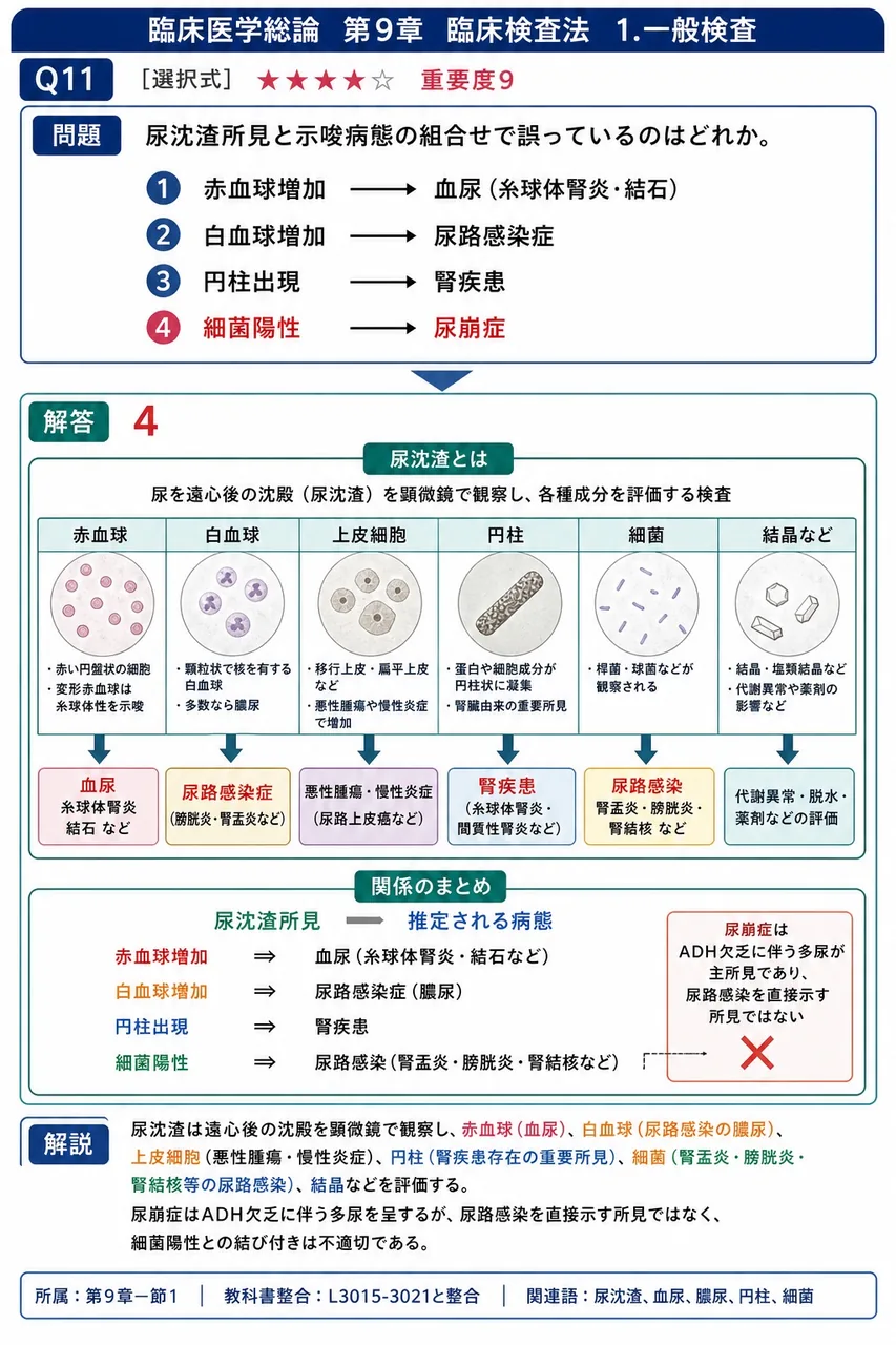尿沈渣所見と示唆病態の組合せで誤っているのはどれか。 解説図