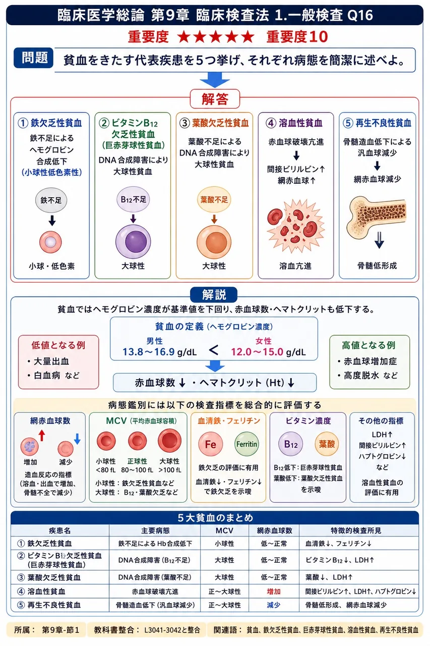 貧血をきたす代表疾患を5つ挙げ、それぞれ病態を簡潔に述べよ。 解説図