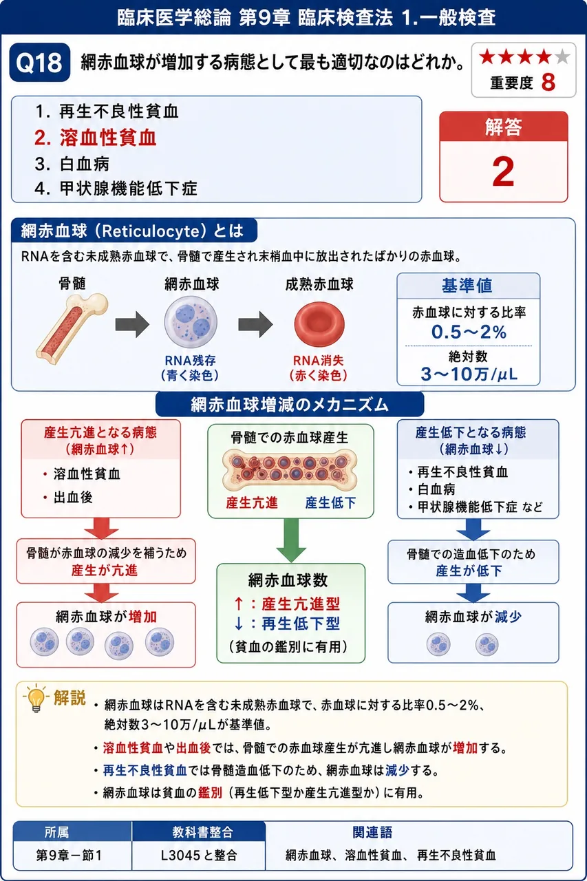 網赤血球が増加する病態として最も適切なのはどれか。 解説図