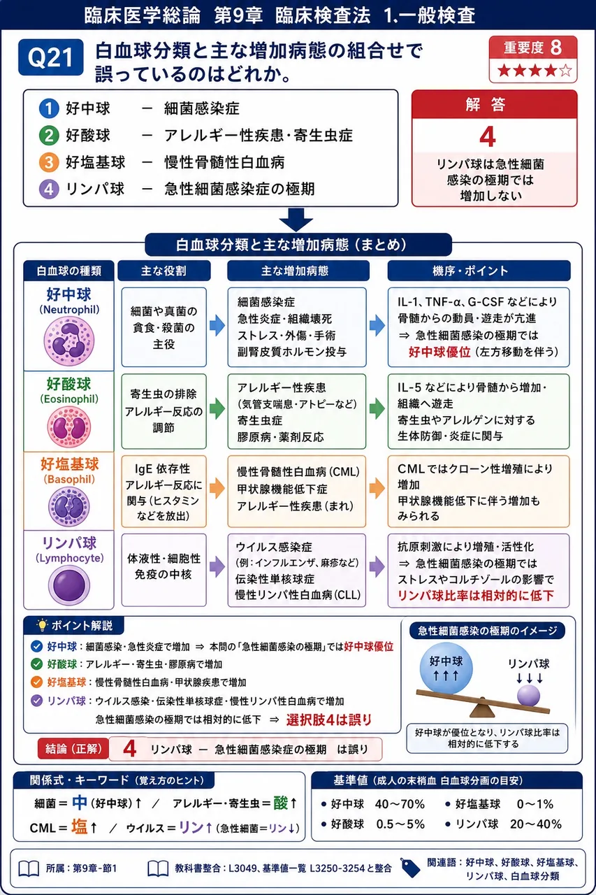 白血球分類と主な増加病態の組合せで誤っているのはどれか。 解説図