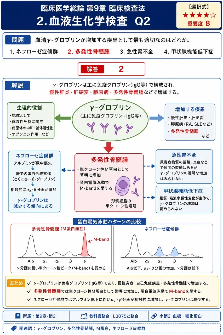 血清γ-グロブリンが増加する疾患として最も適切なのはどれか。 解説図