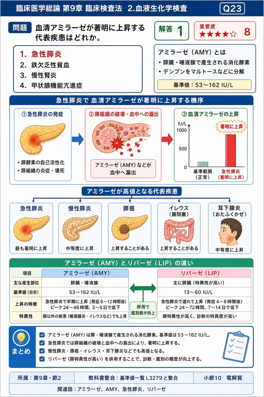 血清アミラーゼが著明に上昇する代表疾患はどれか。 解説図