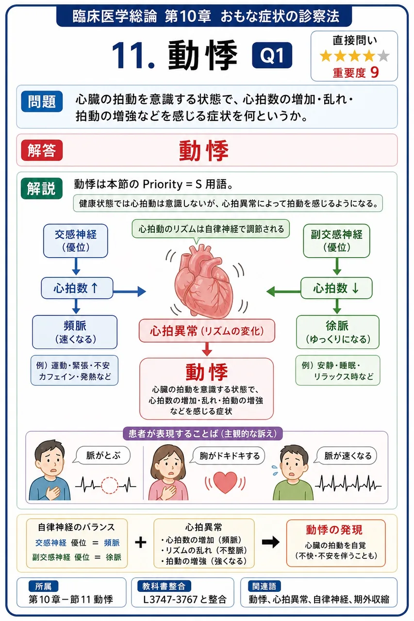 心臓の拍動を意識する状態で、心拍数の増加・乱れ・拍動の増強などを感じる症状を何というか。 解説図