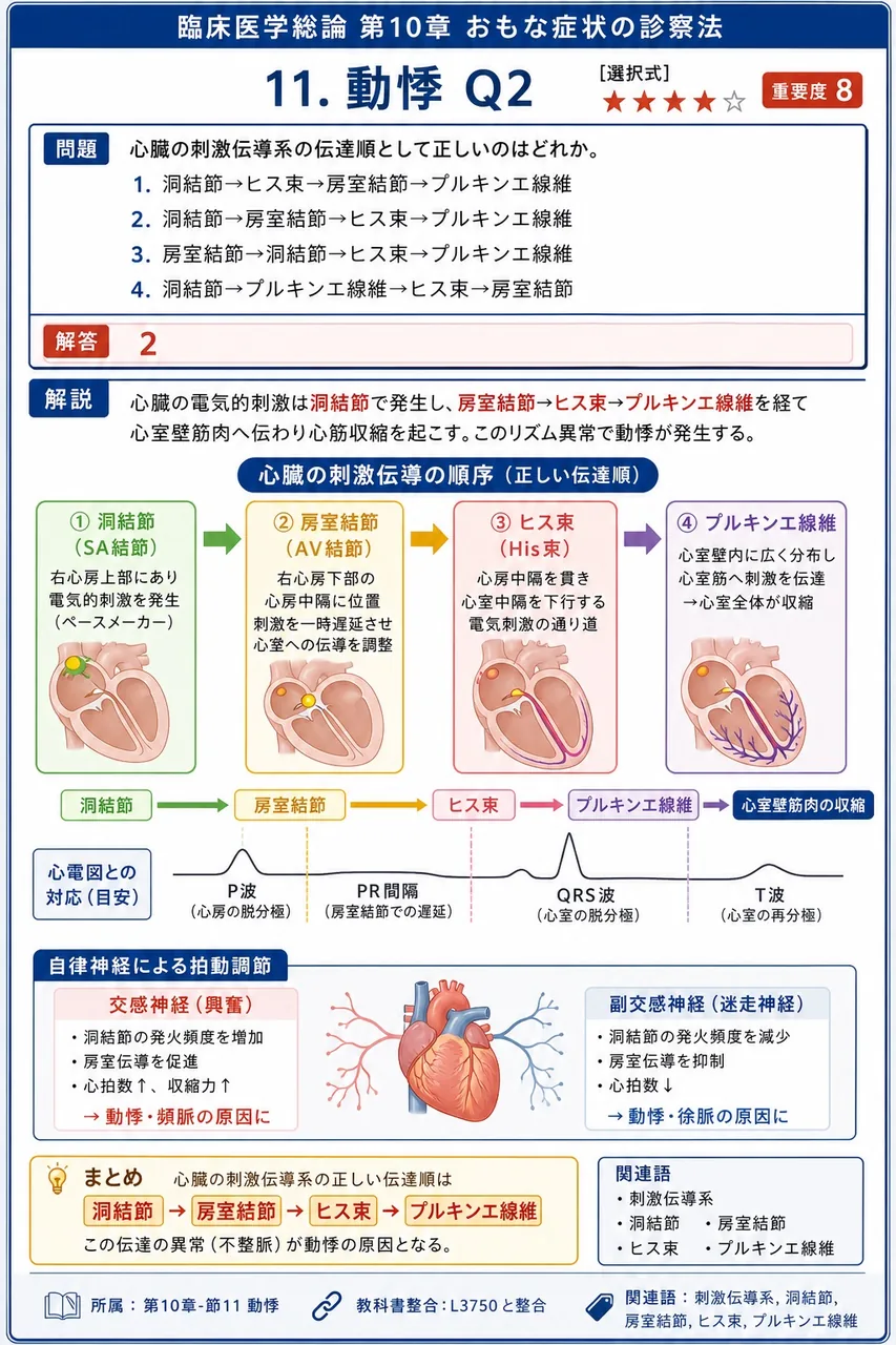 心臓の刺激伝導系の伝達順として正しいのはどれか。 解説図