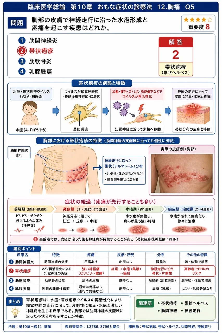 胸部の皮膚で神経走行に沿った水疱形成と疼痛を起こす疾患はどれか。 解説図