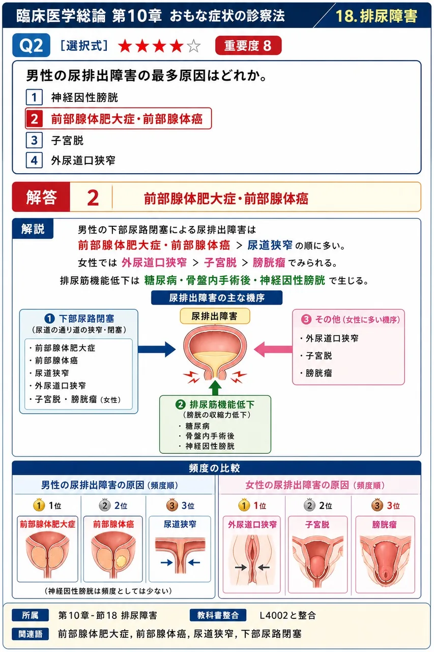 男性の尿排出障害の最多原因はどれか。 解説図