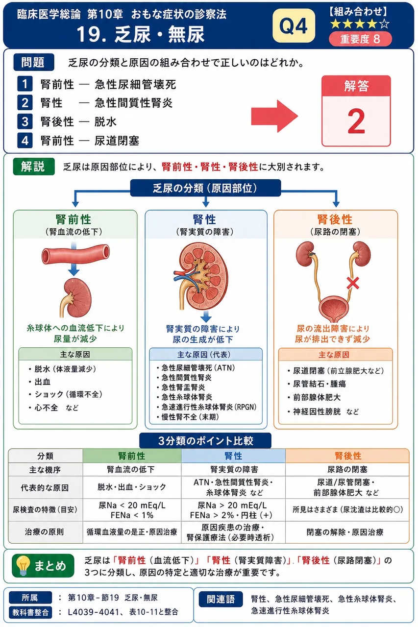 乏尿の分類と原因の組み合わせで正しいのはどれか。 解説図