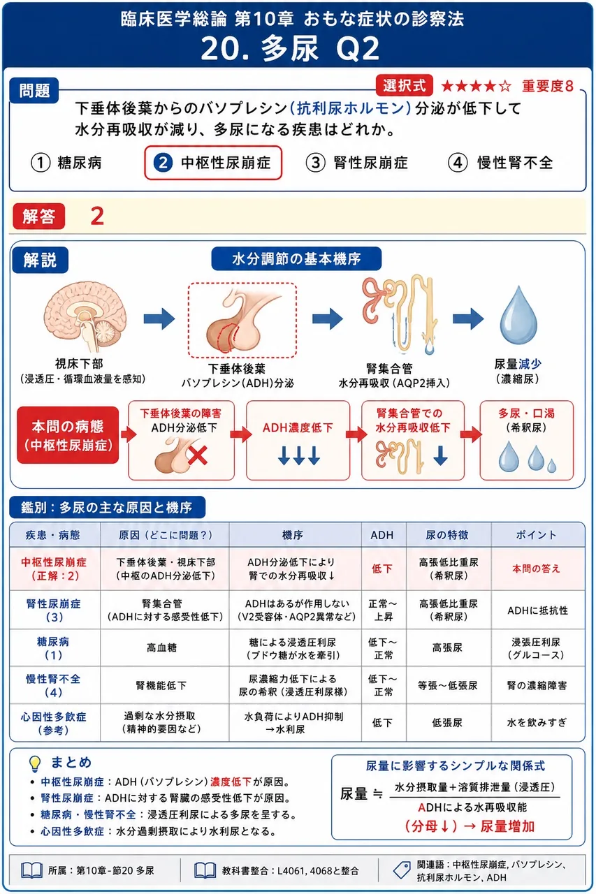 下垂体後葉からのバソプレシン(抗利尿ホルモン)分泌が低下して水分再吸収が減り、多尿になる疾患はどれか。 解説図