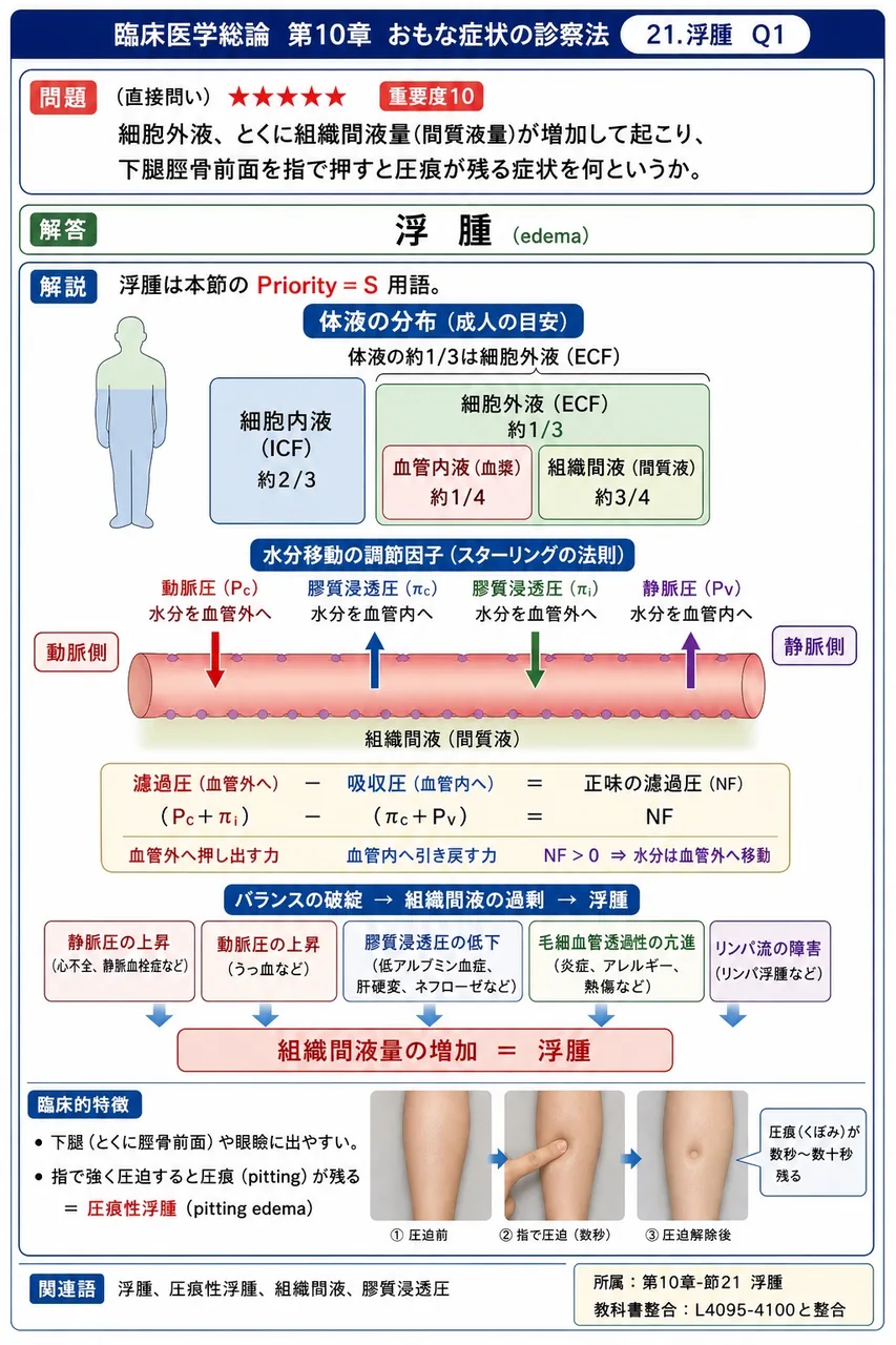 細胞外液、とくに組織間液量(間質液量)が増加して起こり、下腿脛骨前面を指で押すと圧痕が残る症状を何というか。 解説図