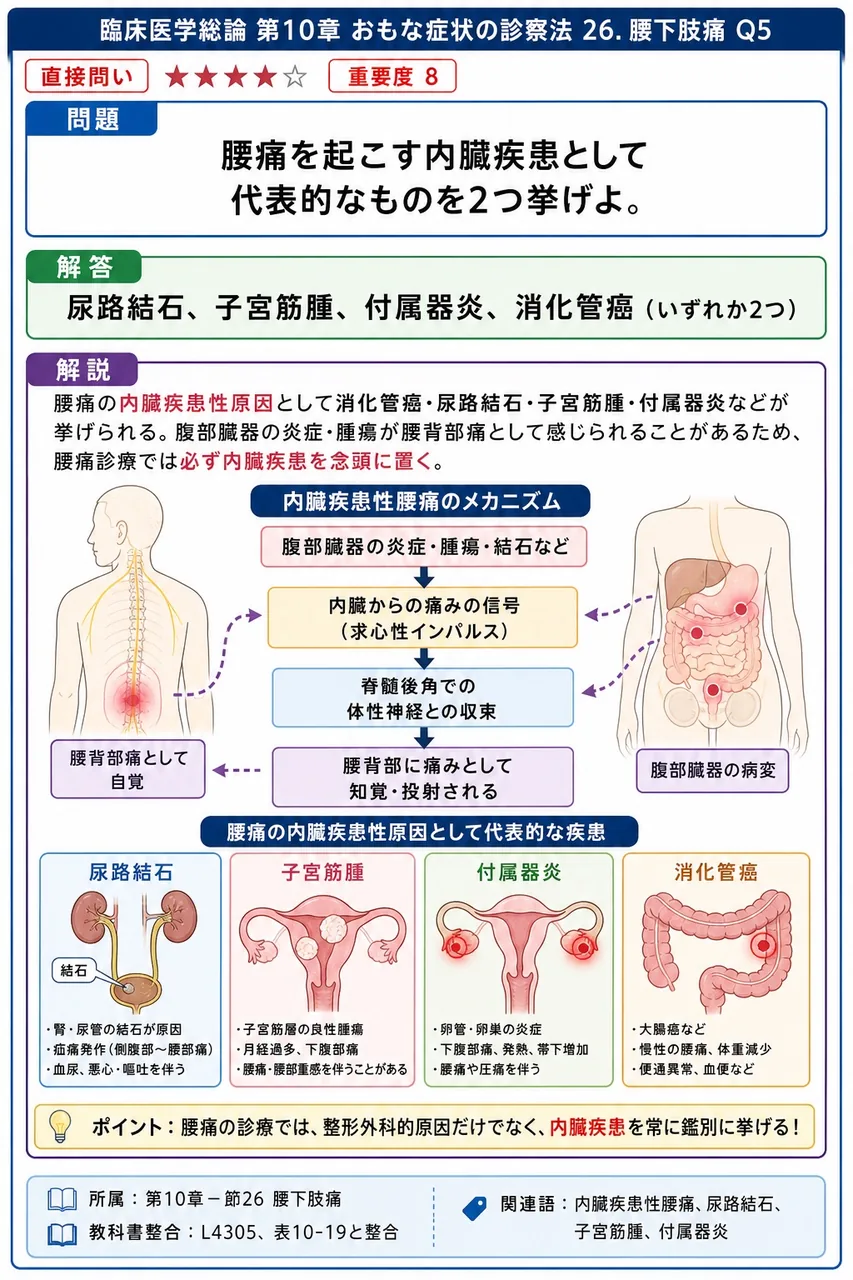 腰痛を起こす内臓疾患として代表的なものを2つ挙げよ。 解説図