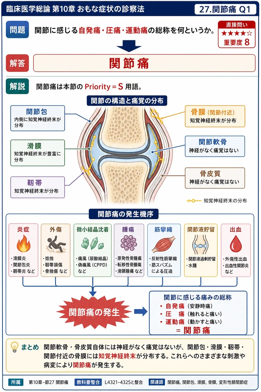 関節に感じる自発痛・圧痛・運動痛の総称を何というか。 解説図