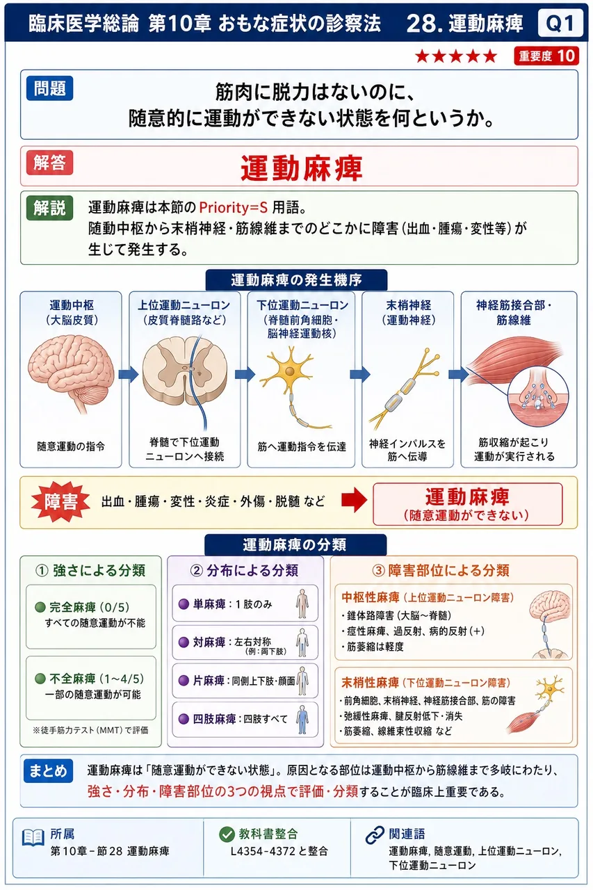 筋肉に脱力はないのに、随意的に運動ができない状態を何というか。 解説図