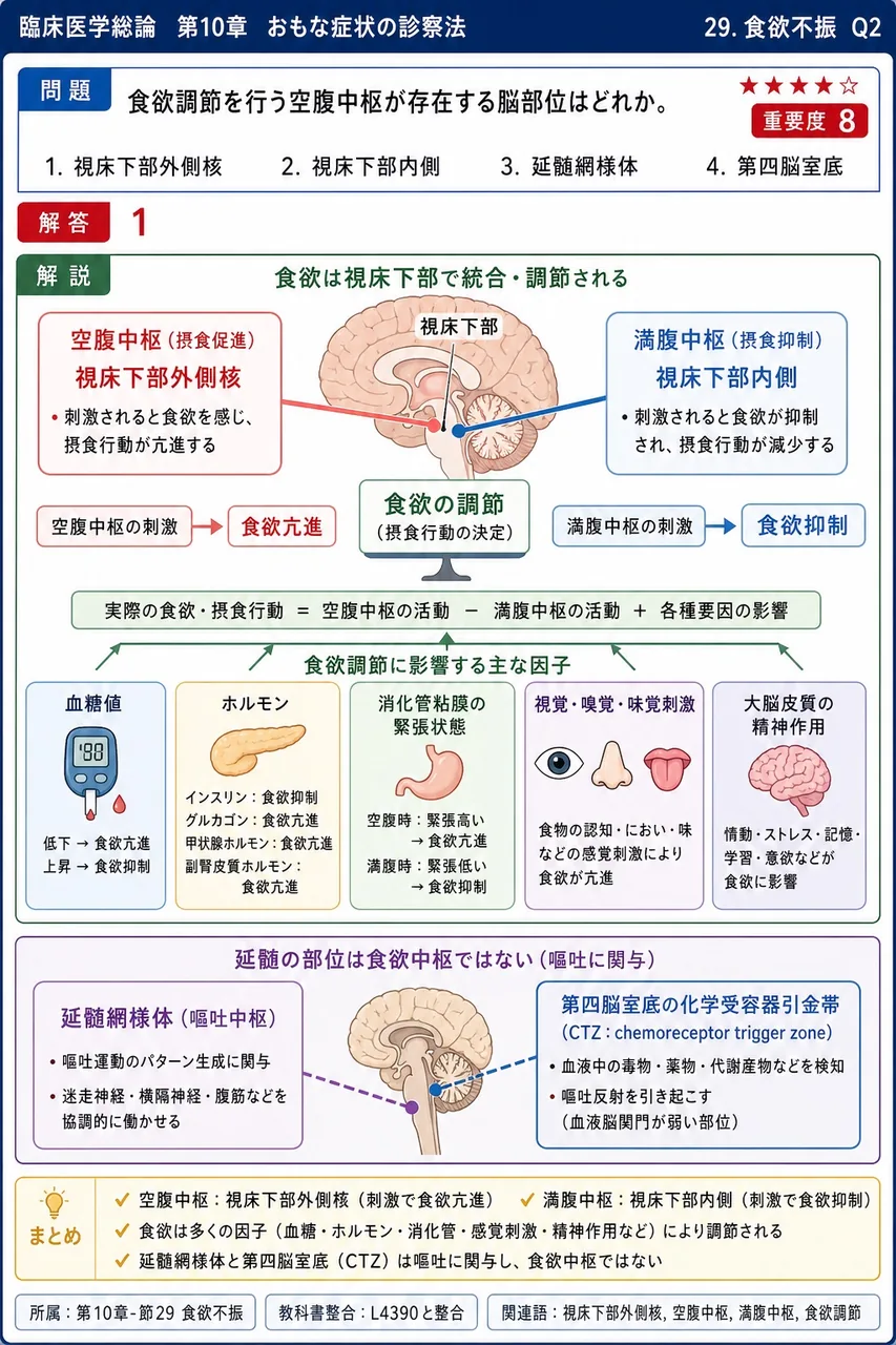 食欲調節を行う空腹中枢が存在する脳部位はどれか。 解説図