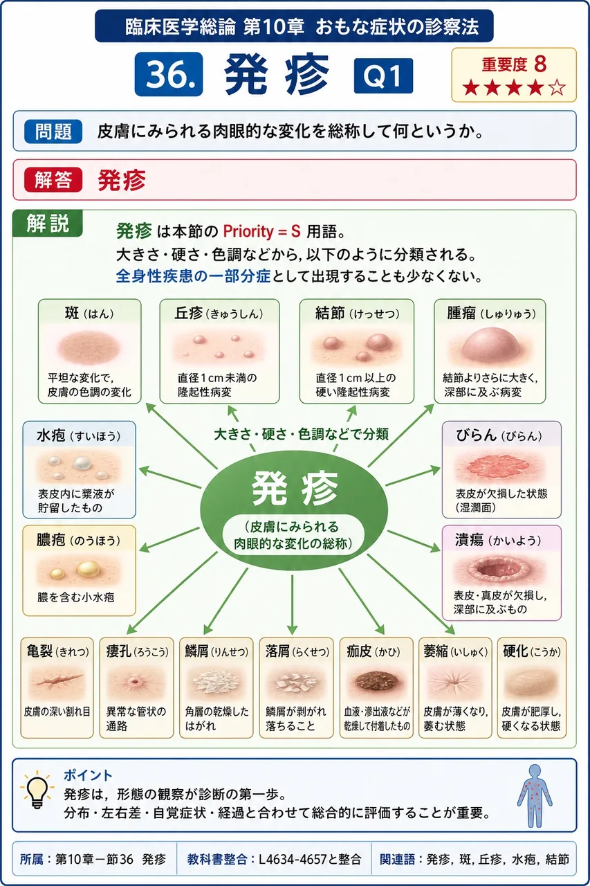 皮膚にみられる肉眼的な変化を総称して何というか。 解説図
