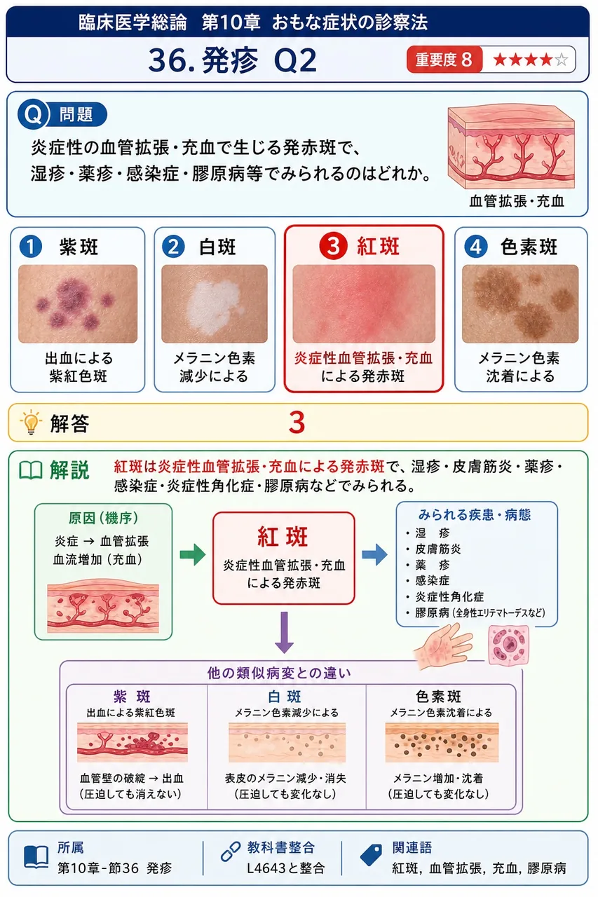 炎症性の血管拡張・充血で生じる発赤斑で、湿疹・薬疹・感染症・膠原病等でみられるのはどれか。 解説図