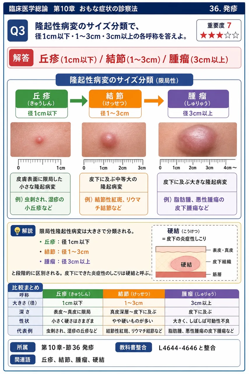 隆起性病変のサイズ分類で、径1cm以下・1〜3cm・3cm以上の各呼称を答えよ。 解説図