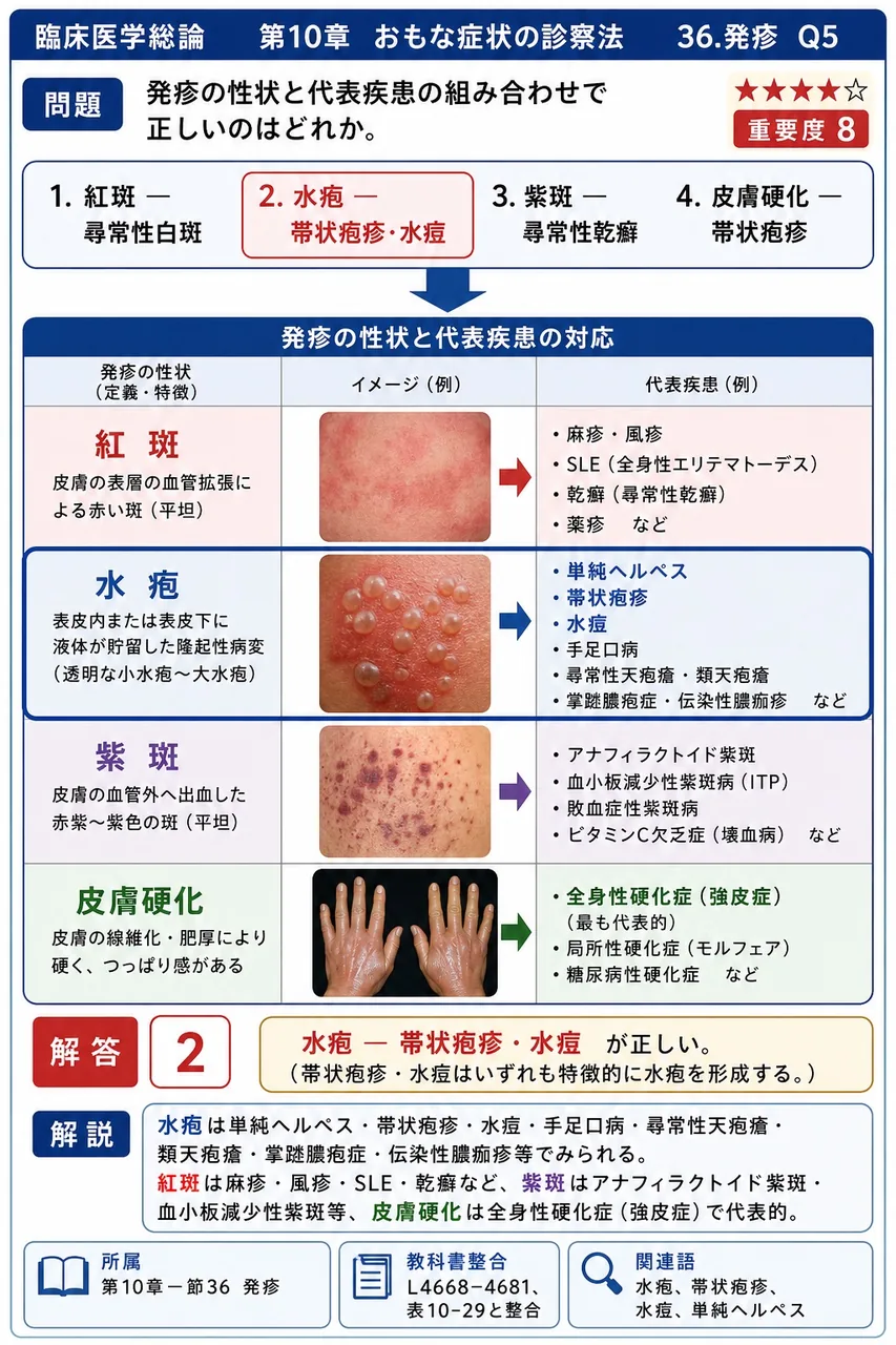 発疹の性状と代表疾患の組み合わせで正しいのはどれか。 解説図