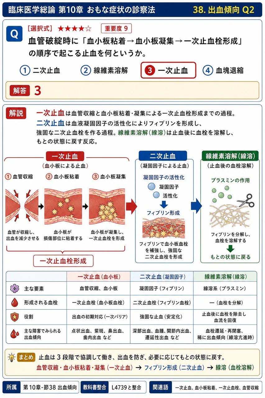 血管破綻時に「血小板粘着→血小板凝集→一次止血栓形成」の順序で起こる止血を何というか。 解説図
