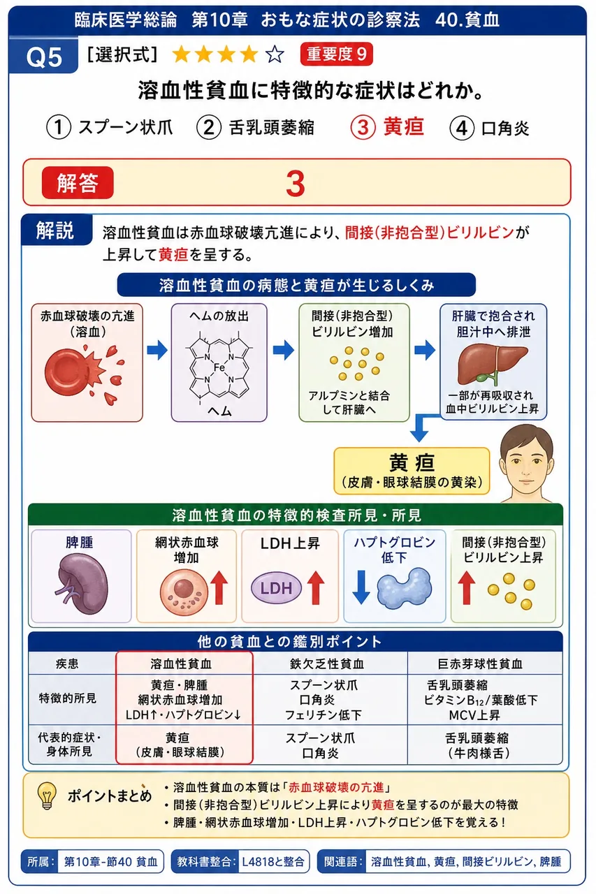 溶血性貧血に特徴的な症状はどれか。 解説図