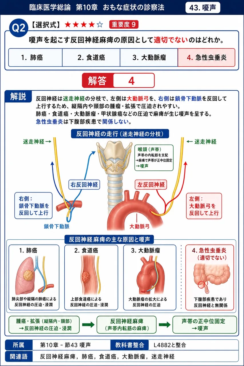 嗄声を起こす反回神経麻痺の原因として適切でないのはどれか。 解説図