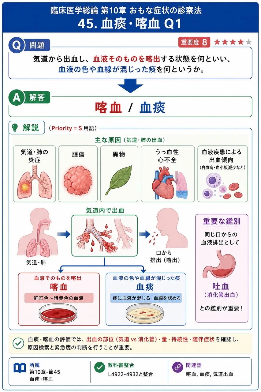 気道から出血し、血液そのものを喀出する状態を何といい、血液の色や血線が混じった痰を何というか。 解説図