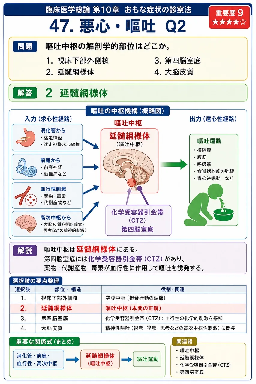 嘔吐中枢の解剖学的部位はどこか。 解説図