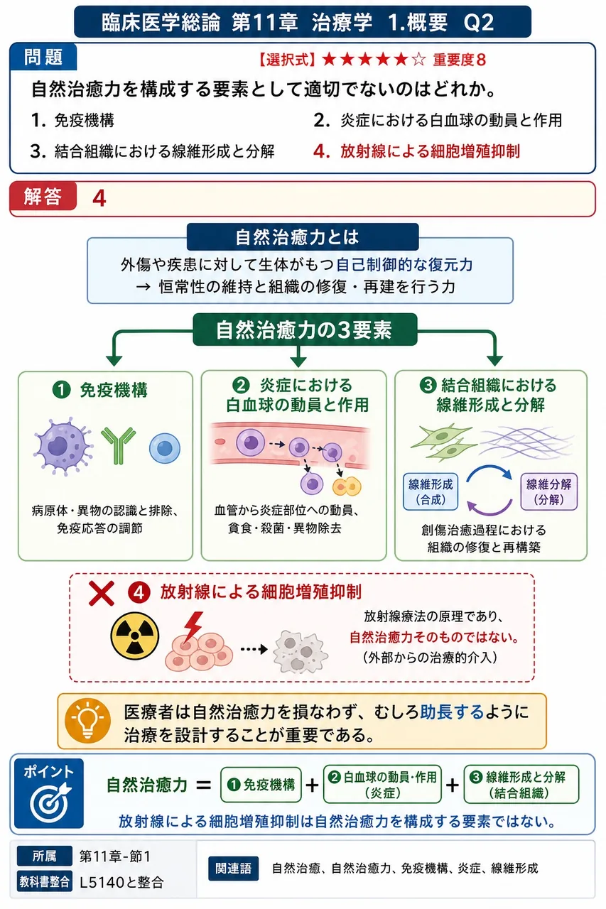 自然治癒力を構成する要素として適切でないのはどれか。 解説図