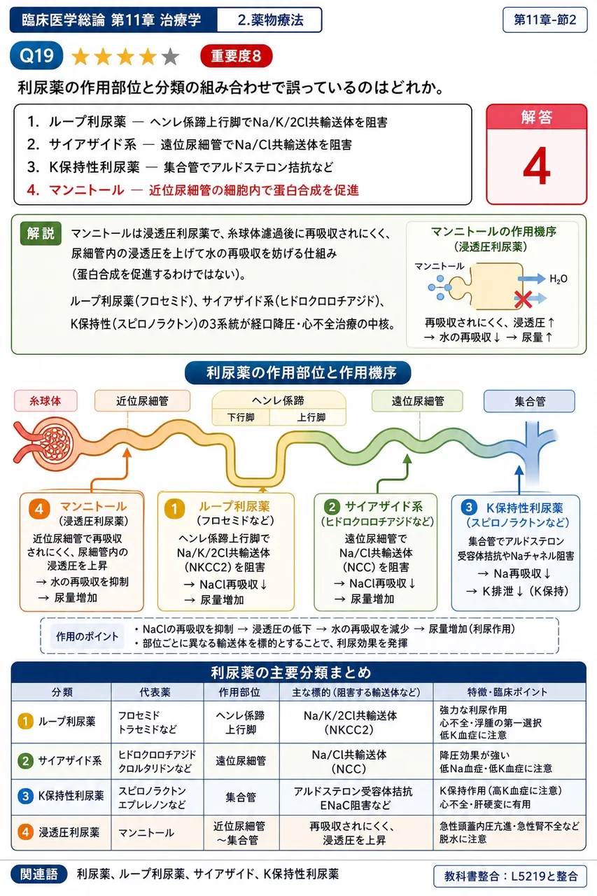 利尿薬の作用部位と分類の組み合わせで誤っているのはどれか。 解説図