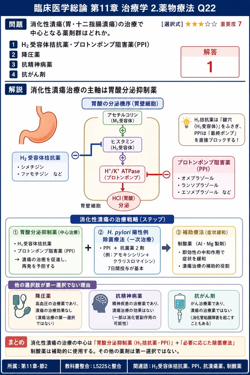 消化性潰瘍(胃・十二指腸潰瘍)の治療で中心となる薬剤群はどれか。 解説図