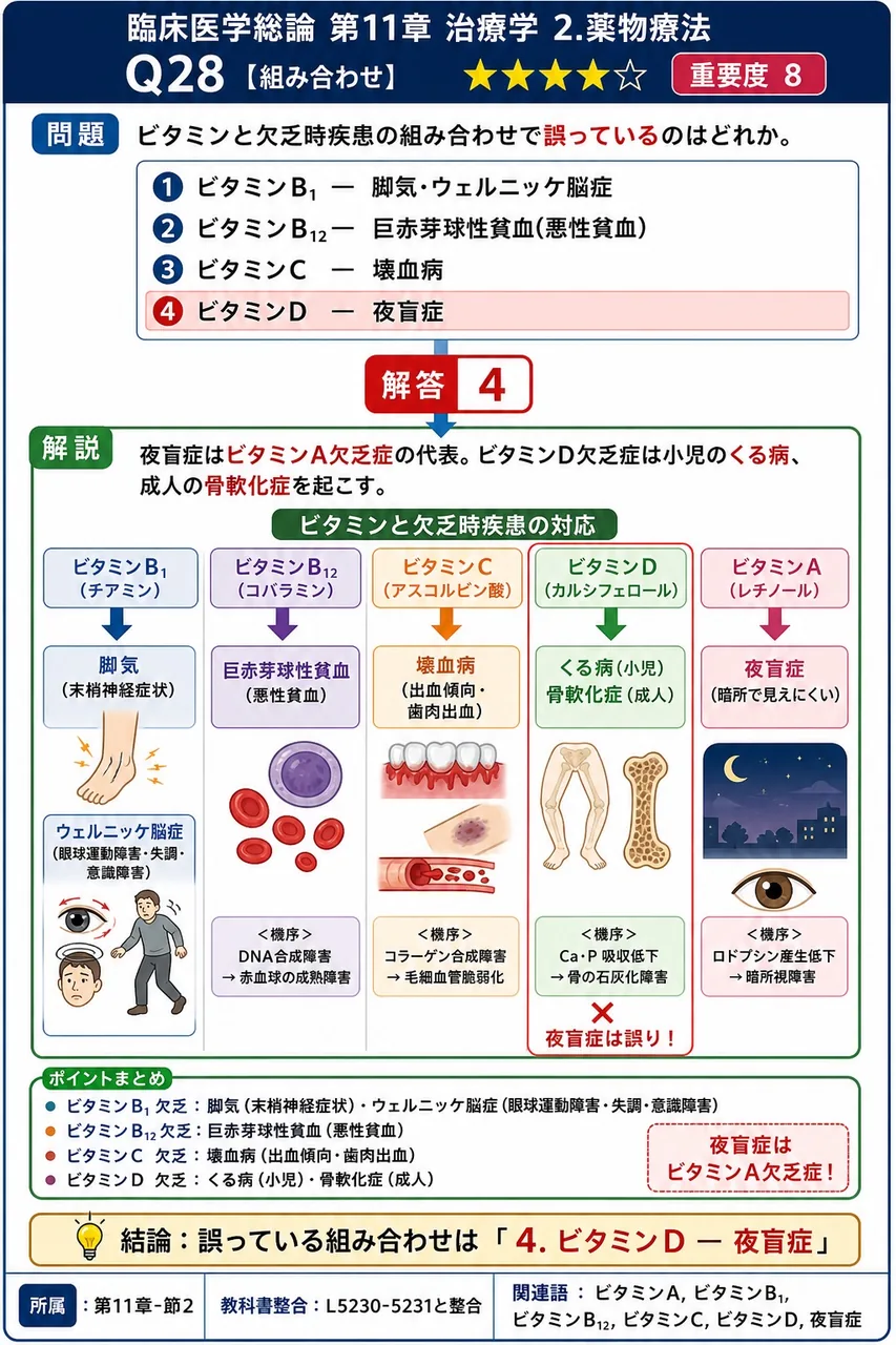 ビタミンと欠乏時疾患の組み合わせで誤っているのはどれか。 解説図