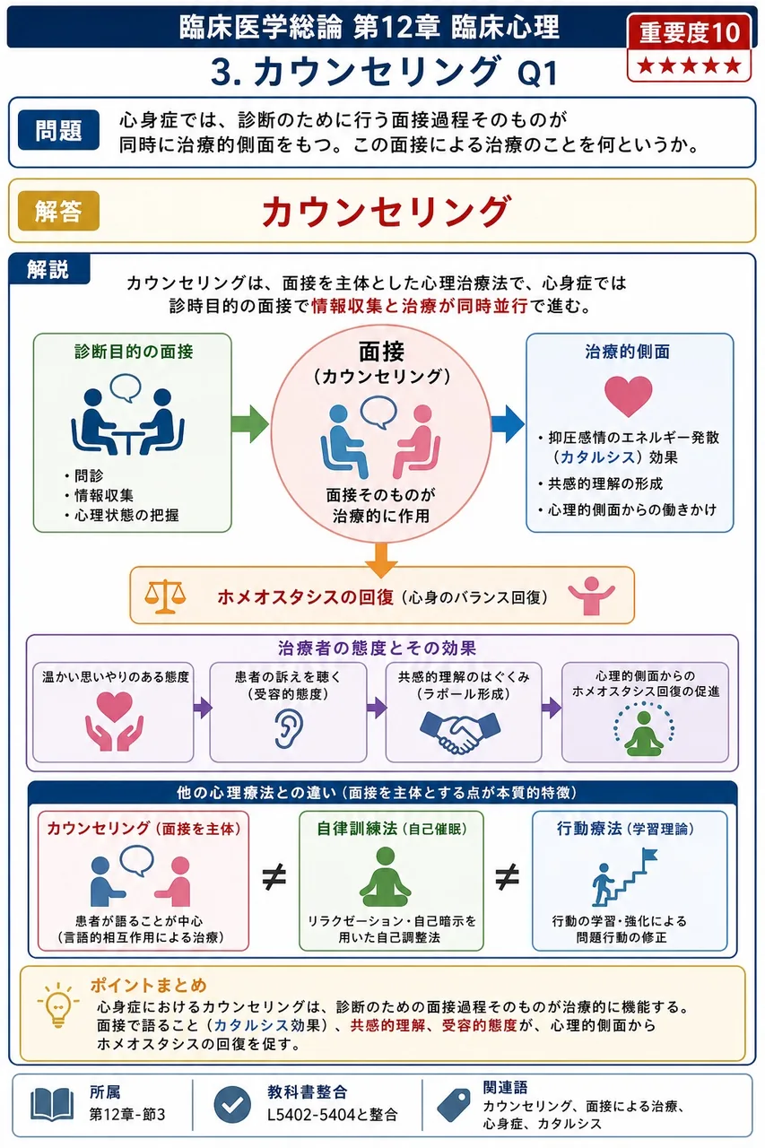 心身症では、診断のために行う面接過程そのものが同時に治療的側面をもつ。この面接による治療のことを何というか。 解説図