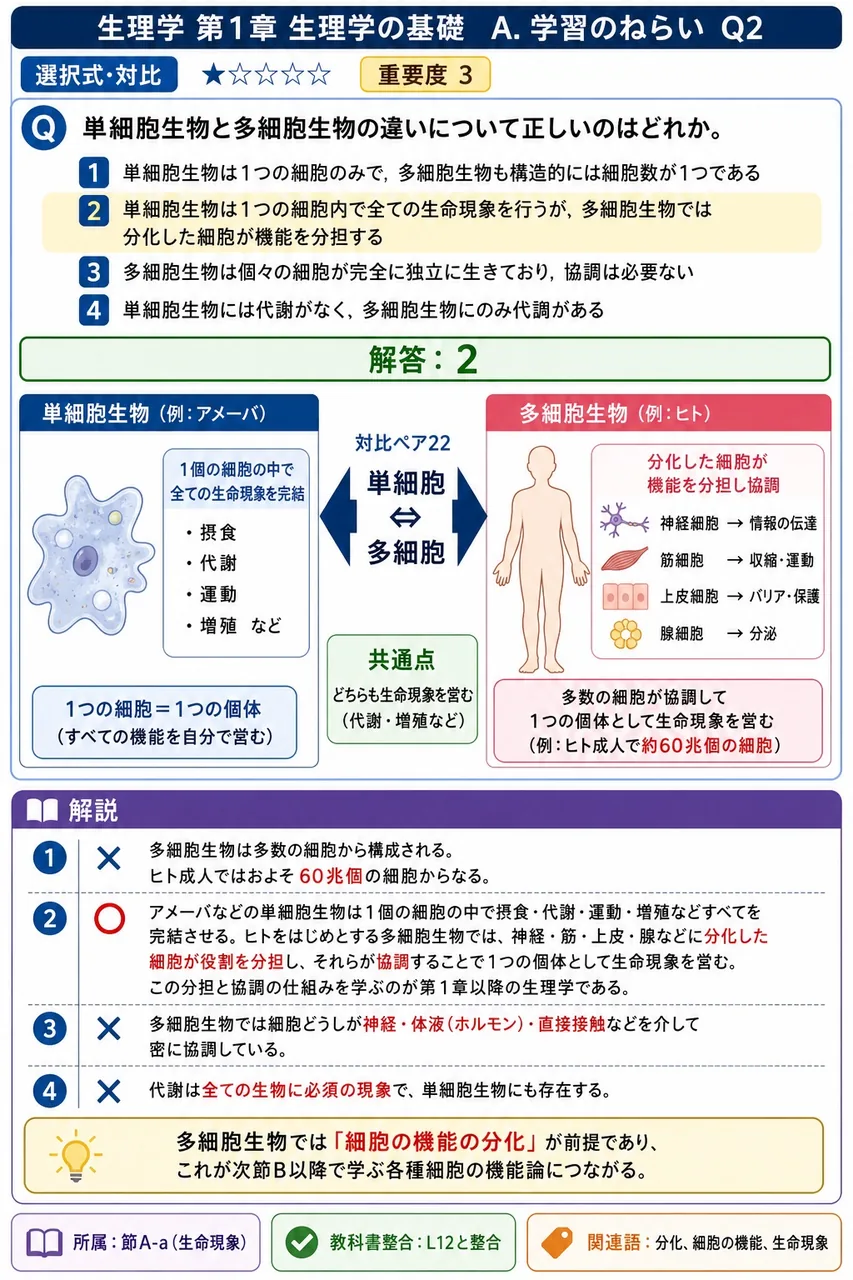 単細胞生物と多細胞生物の違いについて正しいのはどれか。 解説図