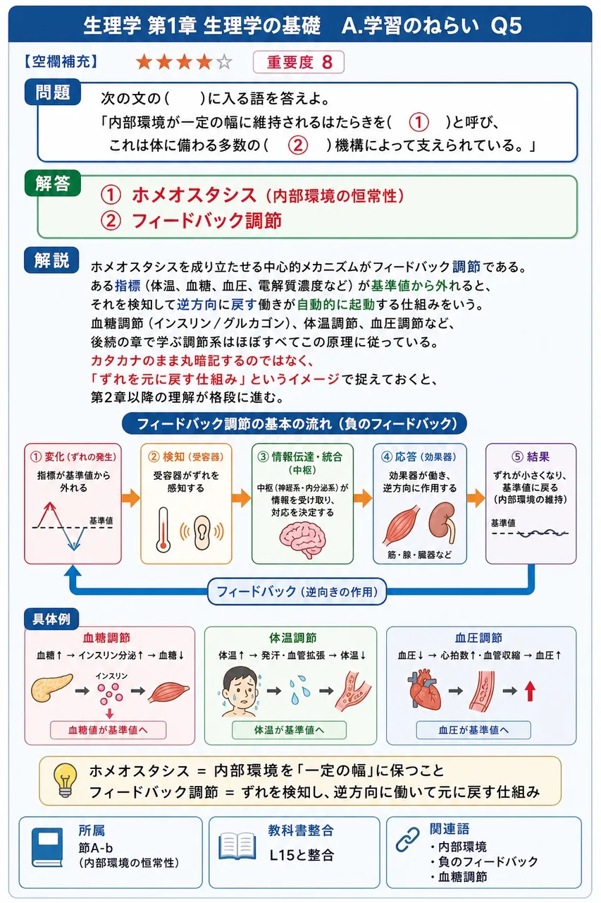 次の文の( )に入る語を答えよ。 「内部環境が一定の幅に維持されるはたらきを( ① )と呼び、これは体に備わる多数の( ② )機構によって支えられている。」 解説図