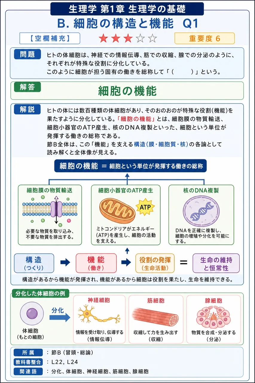 ヒトの体細胞は、神経での情報伝導、筋での収縮、腺での分泌のように、それぞれが特殊な役割に分化している。このように細胞が担う固有の働きを総称して「( )」という。 解説図