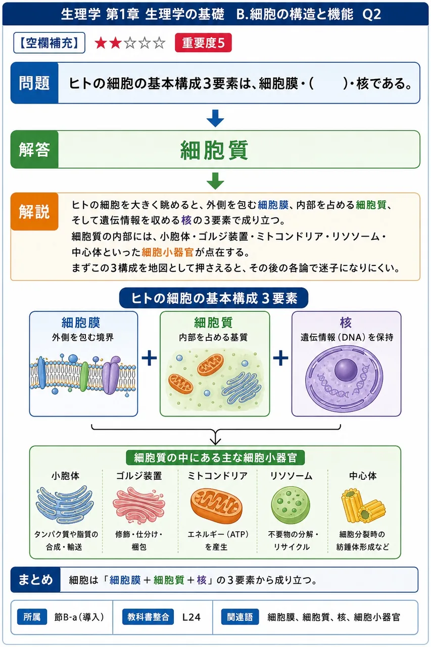 ヒトの細胞の基本構成3要素は、細胞膜・( )・核である。 解説図
