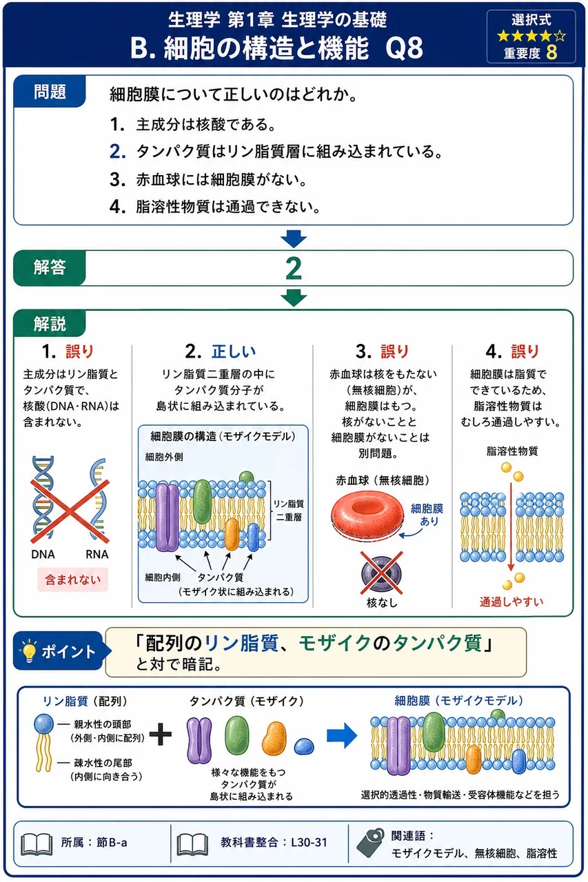 細胞膜について正しいのはどれか。 解説図
