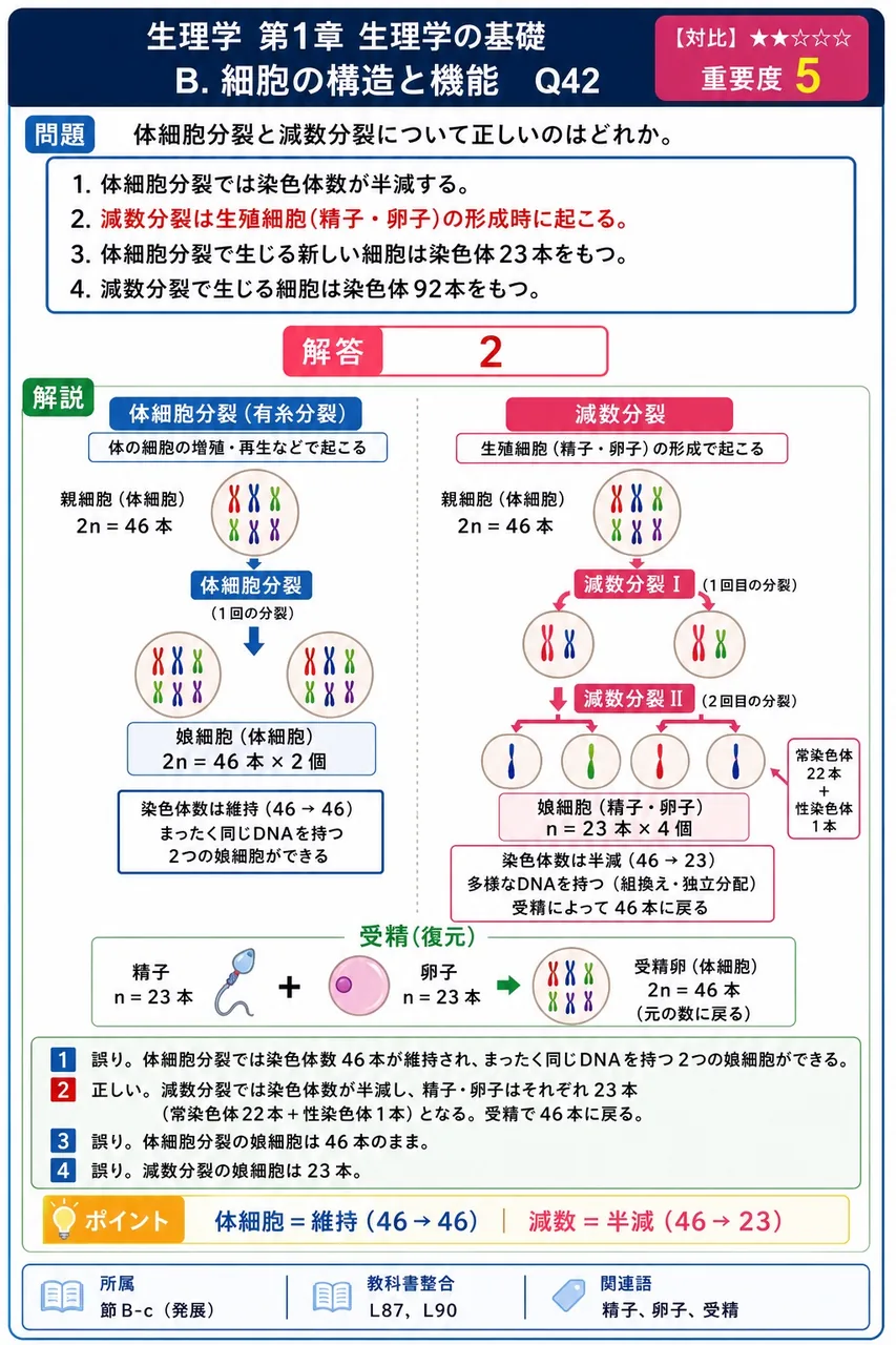 体細胞分裂と減数分裂について正しいのはどれか。 解説図