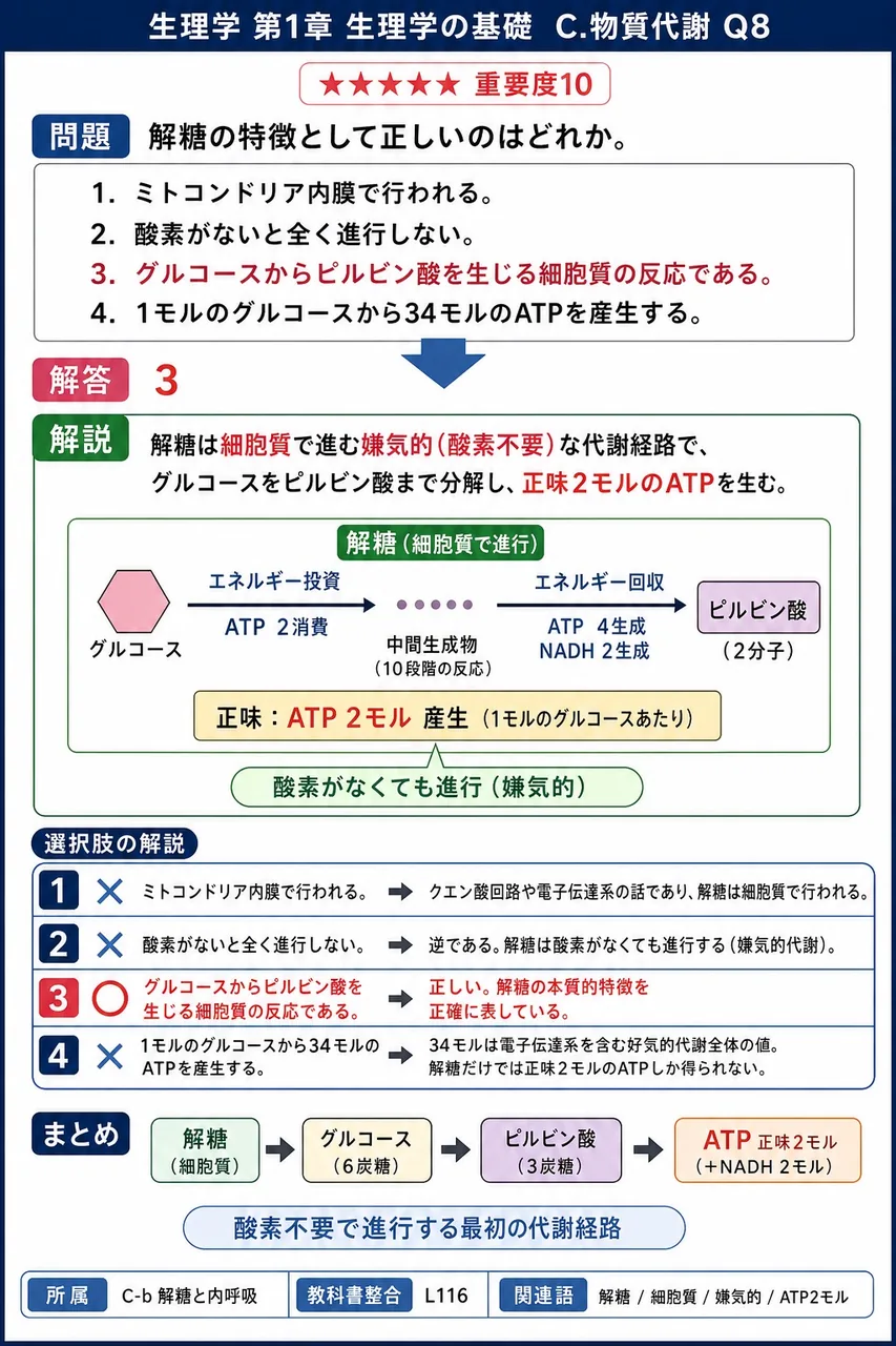 解糖の特徴として正しいのはどれか。 解説図