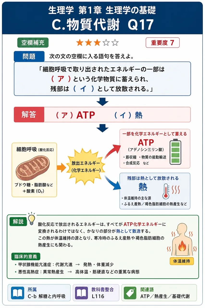 次の文の空欄に入る語句を答えよ。 「細胞呼吸で取り出されたエネルギーの一部は ( ア ) という化学物質に蓄えられ、残部は ( イ ) として放散される。」 解説図