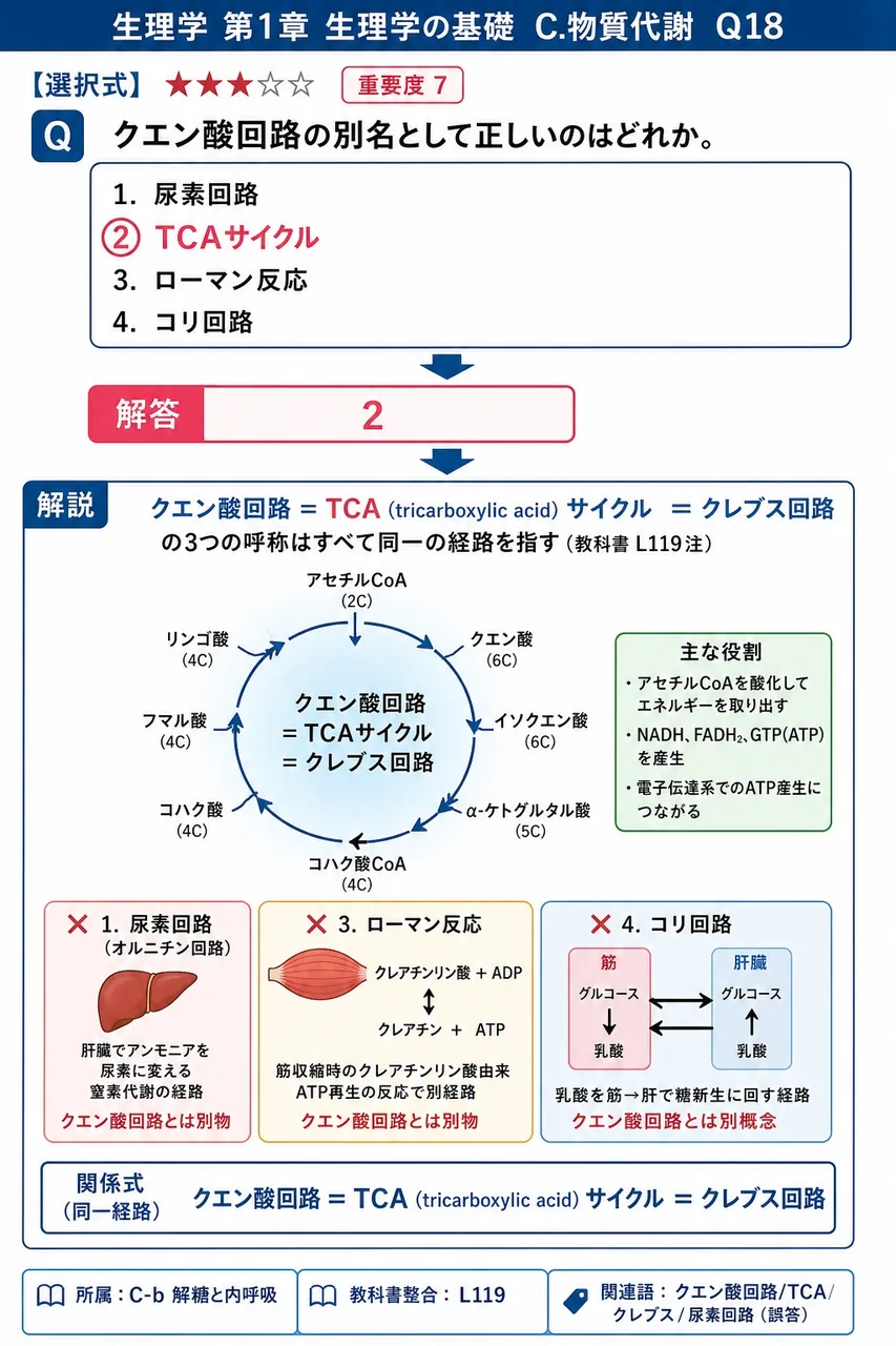 クエン酸回路の別名として正しいのはどれか。 解説図