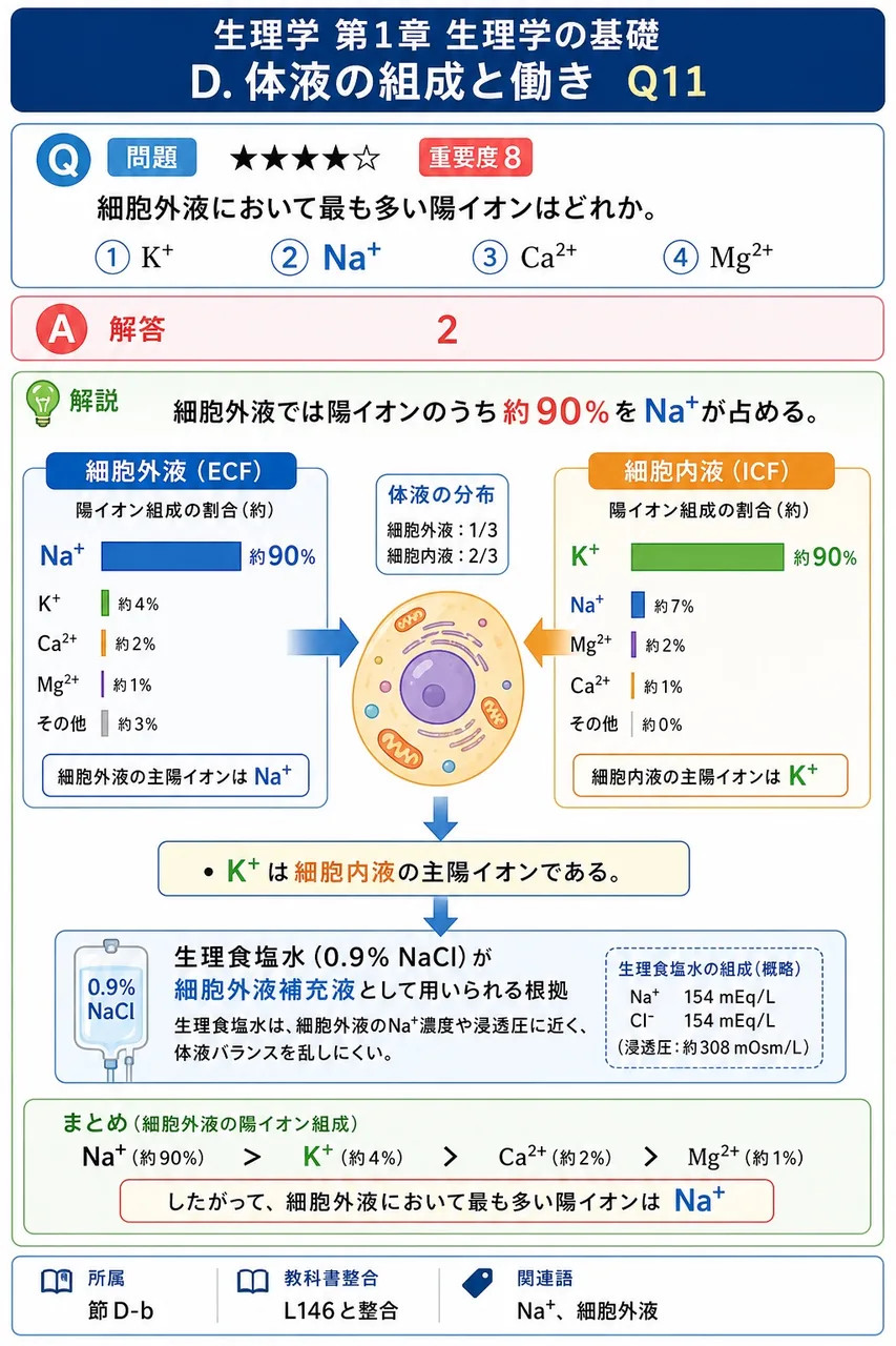 細胞外液において最も多い陽イオンはどれか。 解説図