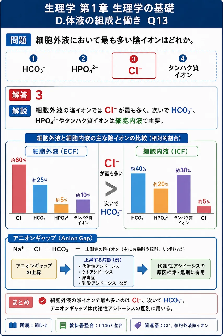 細胞外液において最も多い陰イオンはどれか。 解説図