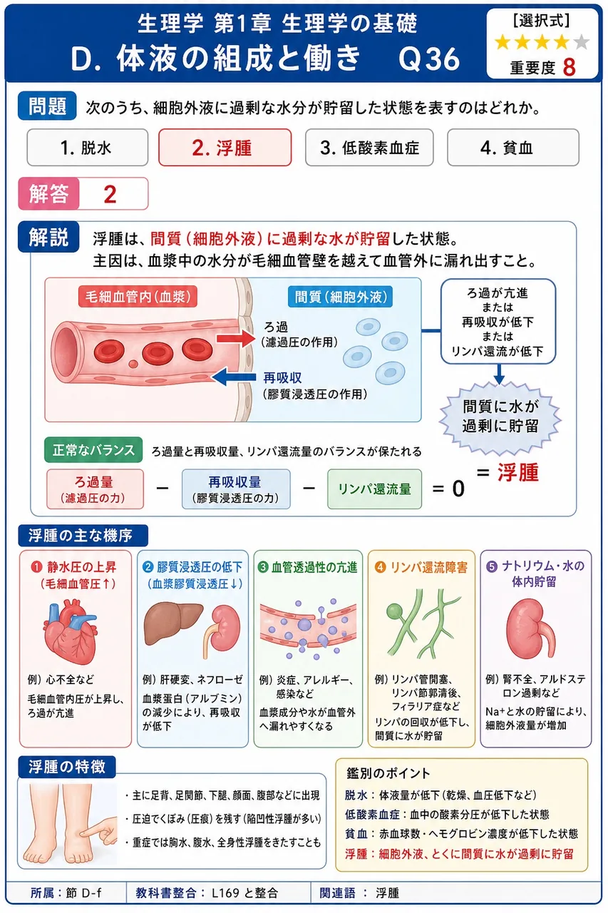 次のうち、細胞外液に過剰な水分が貯留した状態を表すのはどれか。 解説図