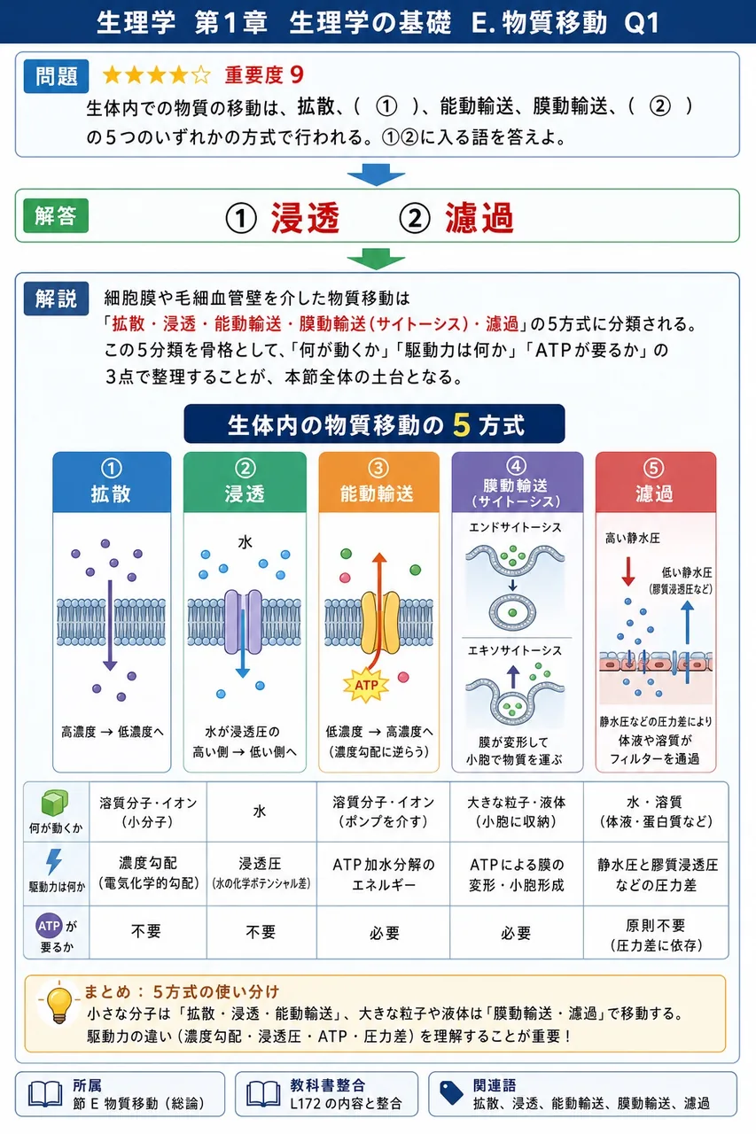 生体内での物質の移動は、拡散、( ① )、能動輸送、膜動輸送、( ② ) の5つのいずれかの方式で行われる。①②に入る語を答えよ。 解説図