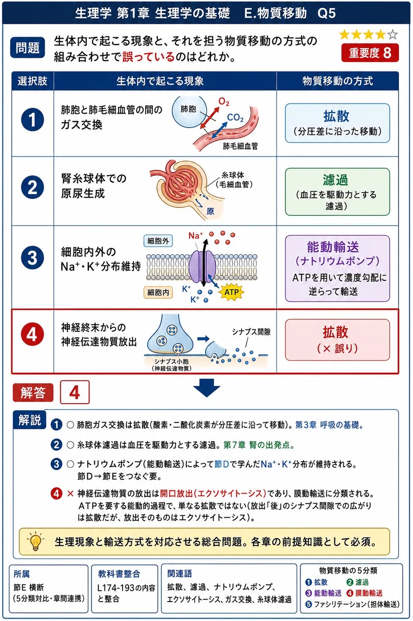生体内で起こる現象と、それを担う物質移動の方式の組み合わせで**誤っている**のはどれか。 解説図