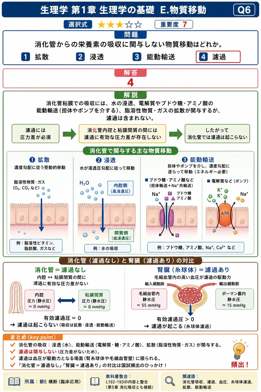 消化管からの栄養素の吸収に関与**しない**物質移動はどれか。 解説図