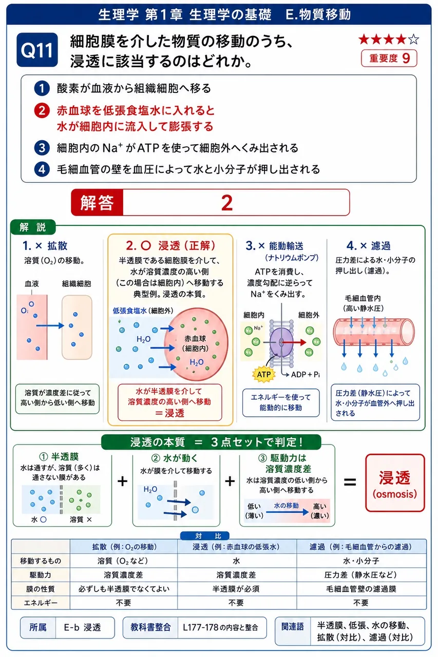 細胞膜を介した物質の移動のうち、浸透に該当するのはどれか。 解説図