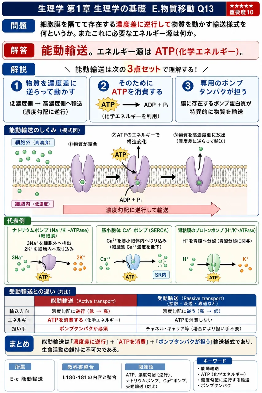 細胞膜を隔てて存在する濃度差に逆行して物質を動かす輸送様式を何というか。またこれに必要なエネルギー源は何か。 解説図