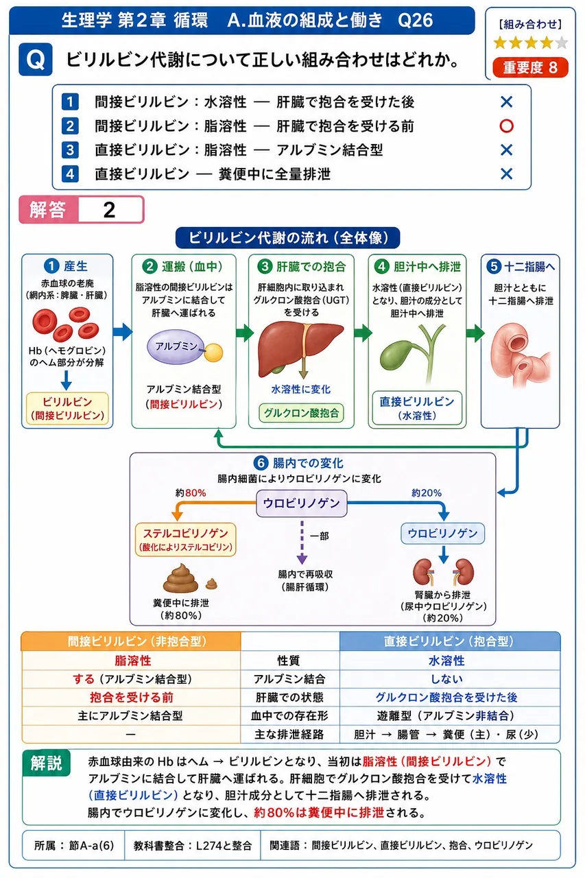 ビリルビン代謝について正しい組み合わせはどれか。 解説図